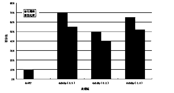 Method for controlling CSBV (Chinese bee Sacbrood Virus) by utilizing RNA interference technology