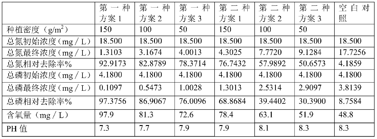 Plant water treatment method of municipal wastewater at high altitude