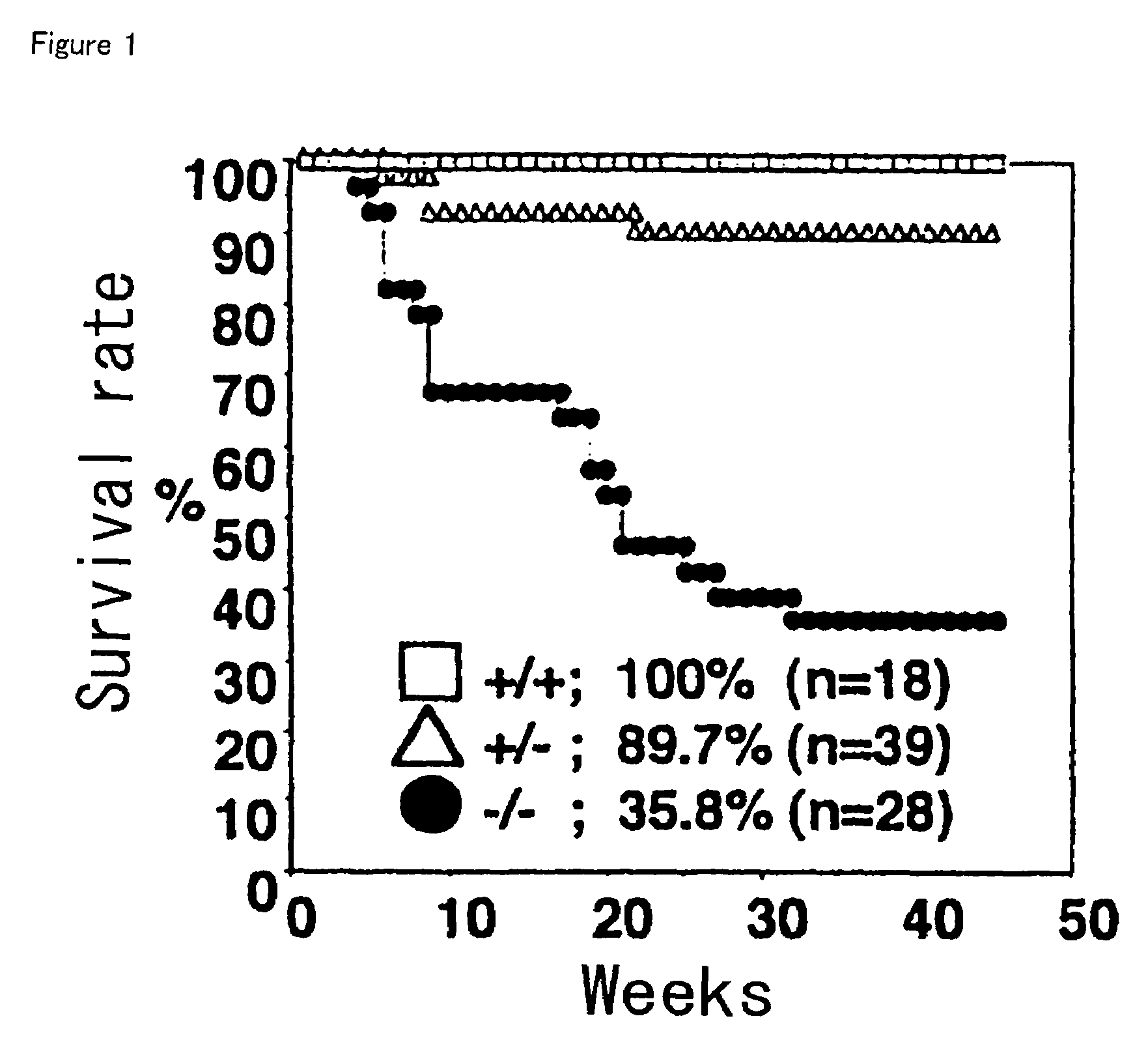 PD-1-lacking mouse and use thereof