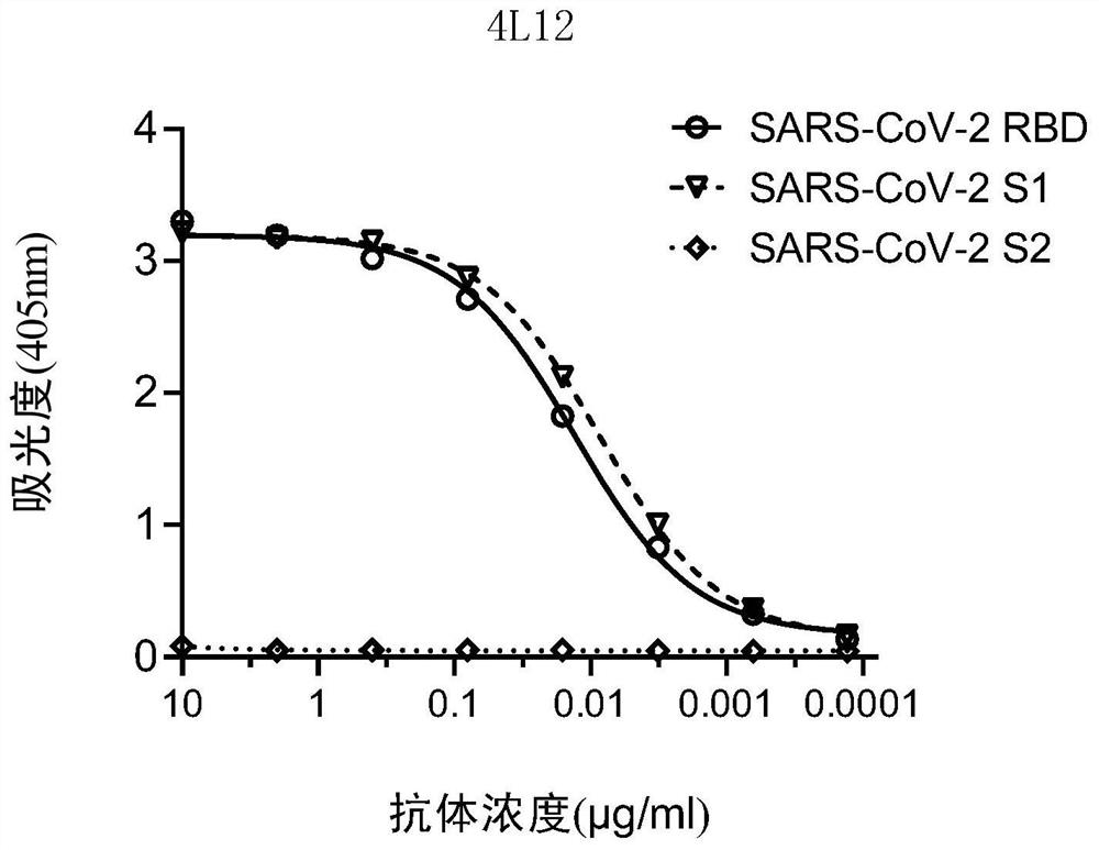 Antibodies of coronavirus or antigen binding fragments of antibodies