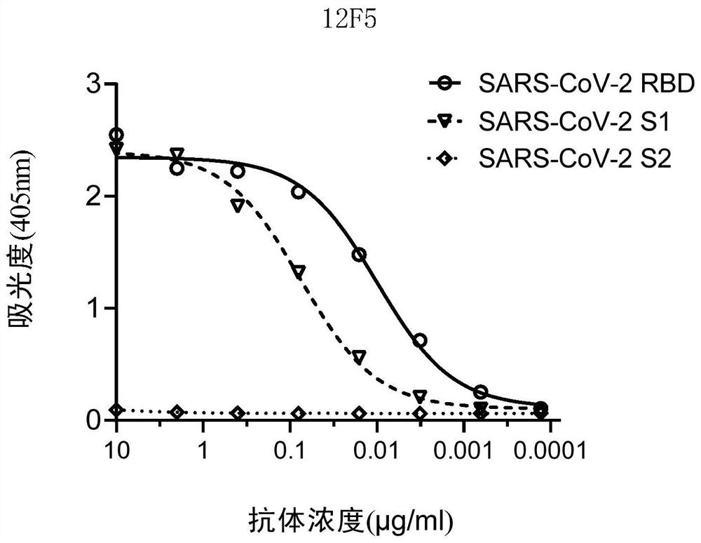 Antibodies of coronavirus or antigen binding fragments of antibodies