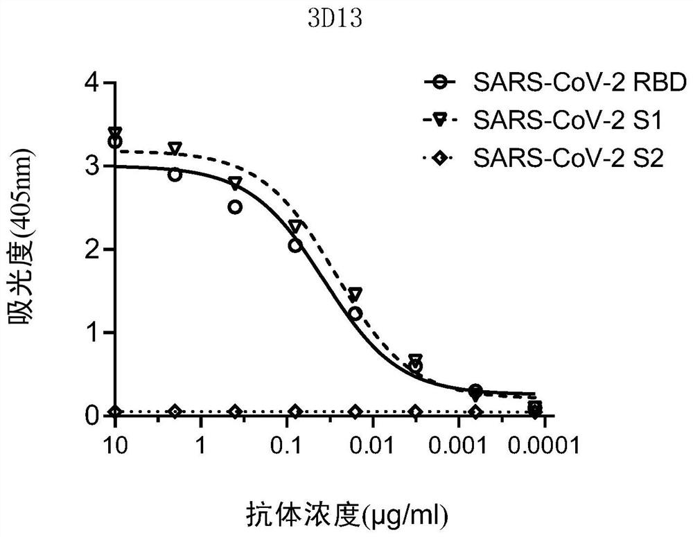 Antibodies of coronavirus or antigen binding fragments of antibodies