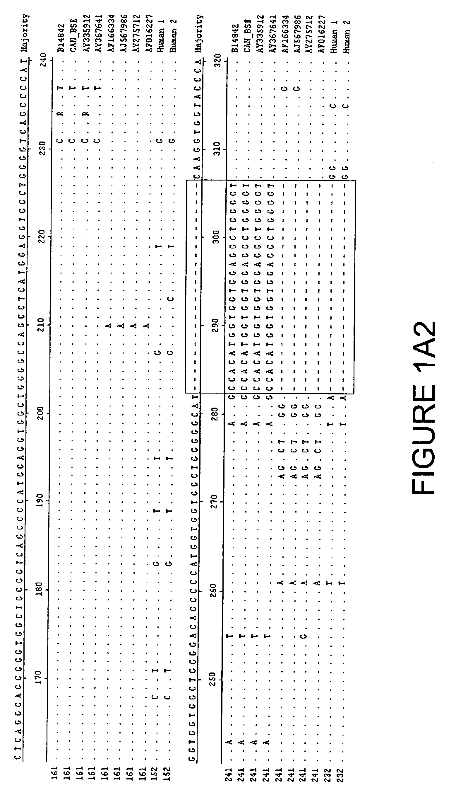 Novel polymorphism in bovine prion protein gene sequence