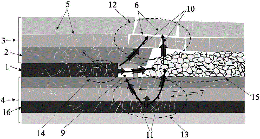 Coal seam stope advantageous gas transport pathway staged construction method