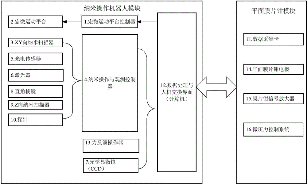 Cell physiological information detection system and detection method