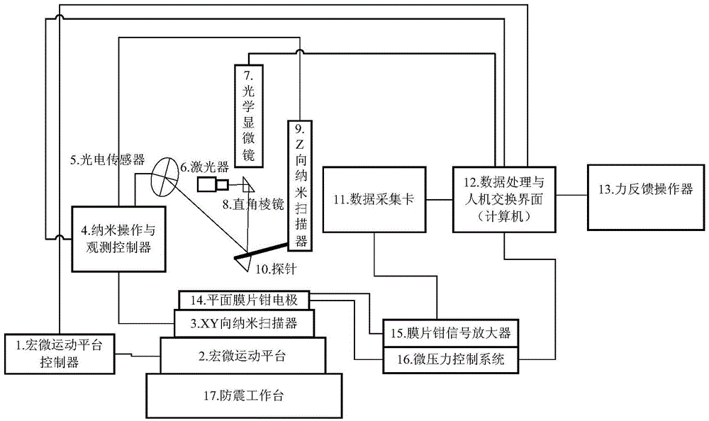 Cell physiological information detection system and detection method