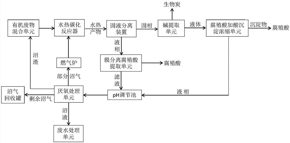 Process for preparing humic acid coproduced energy gas and biological carbon by hydrothermal carbonization of organic wastes