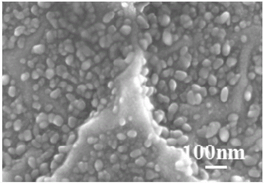 Method for in-situ construction of multistage nanometer topological structure on titanium-based implant surface based on salt corrosion