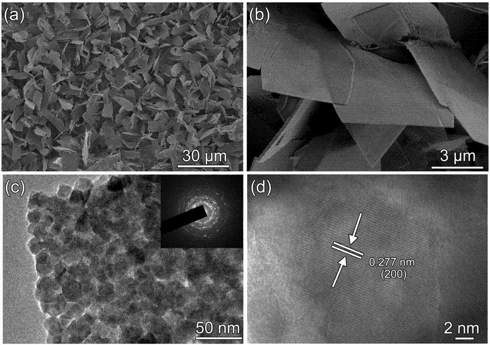 Synthetic method of cobalt disulfide nanoribbon assembled structure on titanium substrate