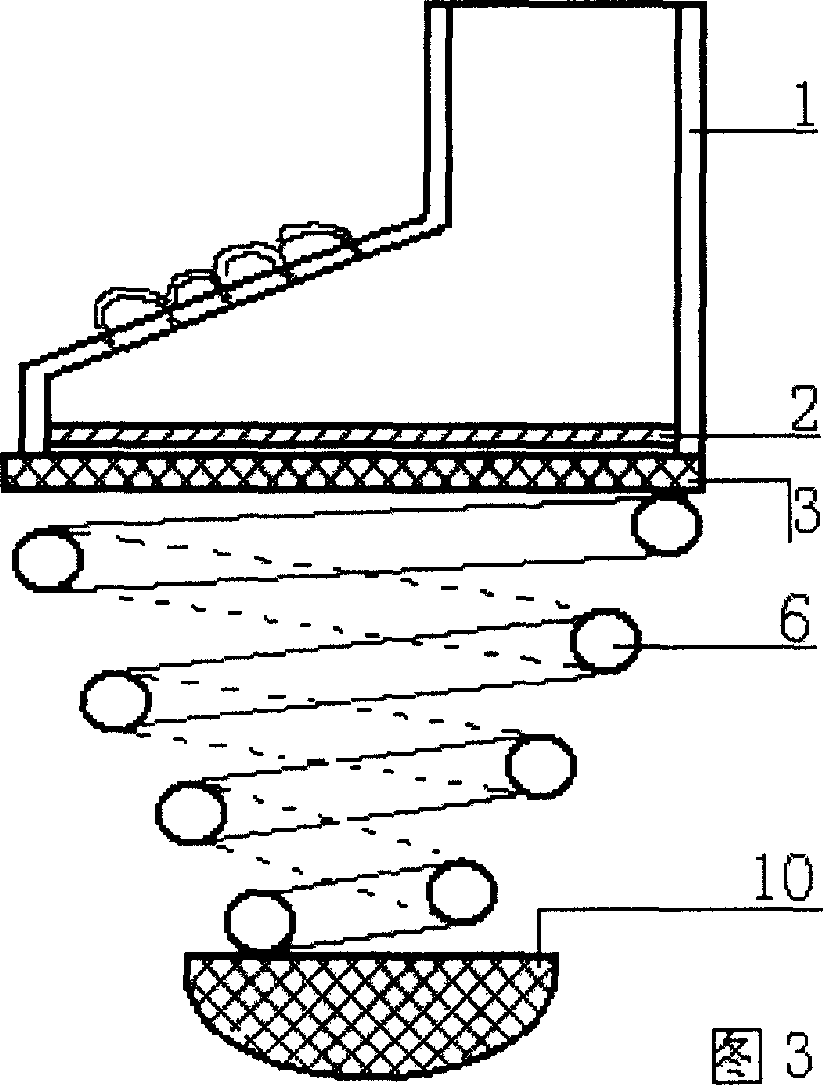 Bungee jumping shoes and apparatus imitating kangaroo jumping mode