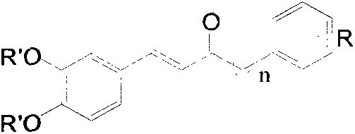 Preparation method of E-3,4-dihydroxyphenylvinyl ketone and application thereof as nerve protection drug