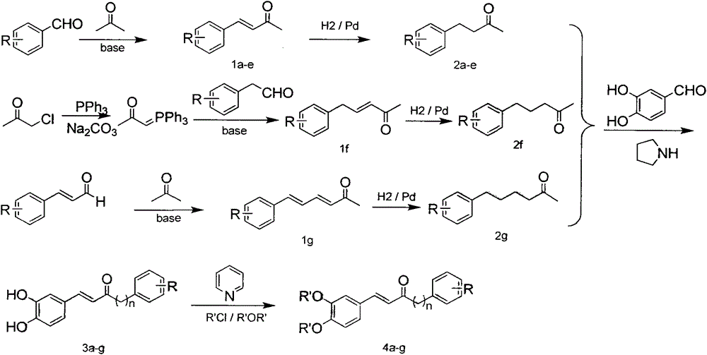 Preparation method of E-3,4-dihydroxyphenylvinyl ketone and application thereof as nerve protection drug