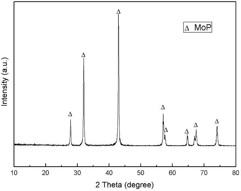 Preparation method of transition metal phosphide MoP