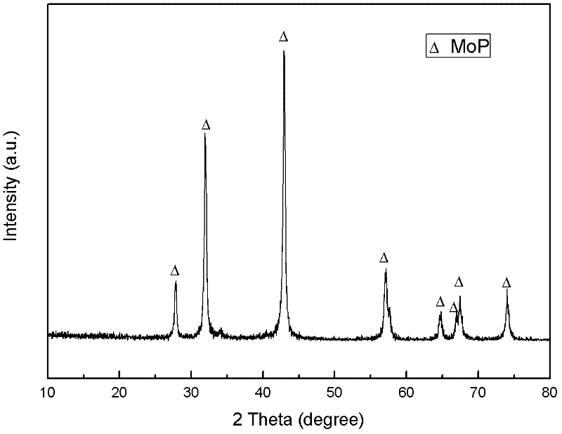 Preparation method of transition metal phosphide MoP