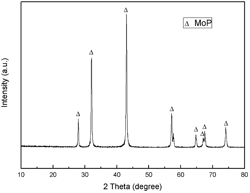 Preparation method of transition metal phosphide MoP