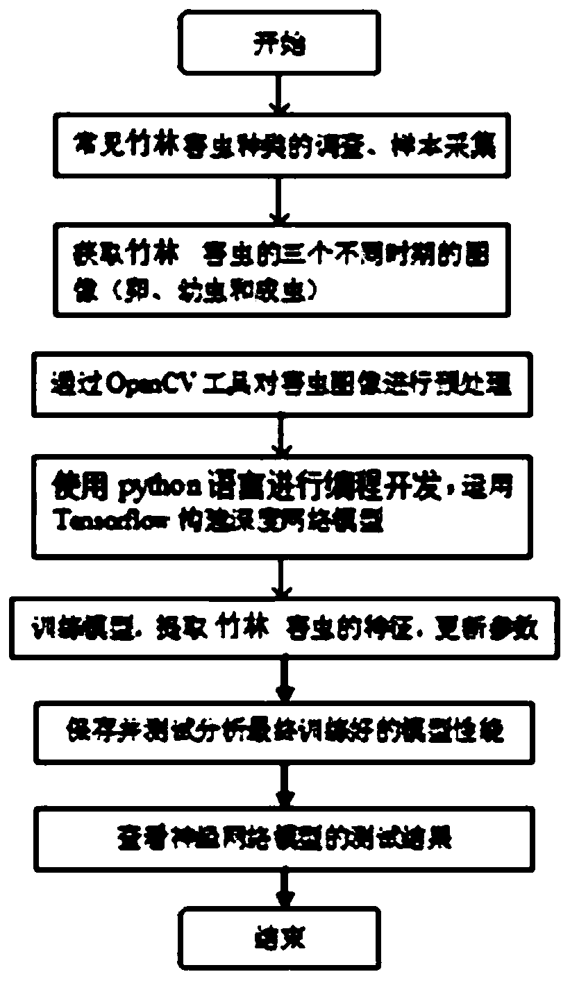 Bamboo forest pest identification method based on a convolutional neural network model