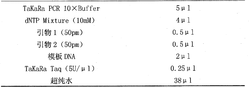 Method for fast screening lactobacillus for degrading cholesterol