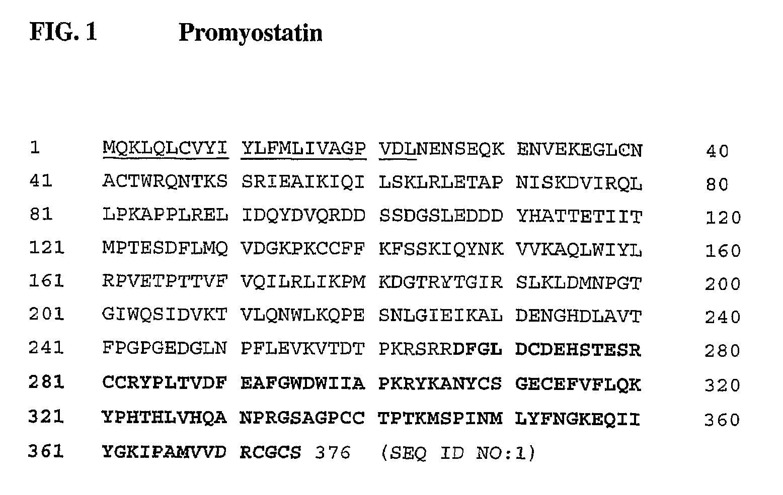 Anti-myostatin antibodies