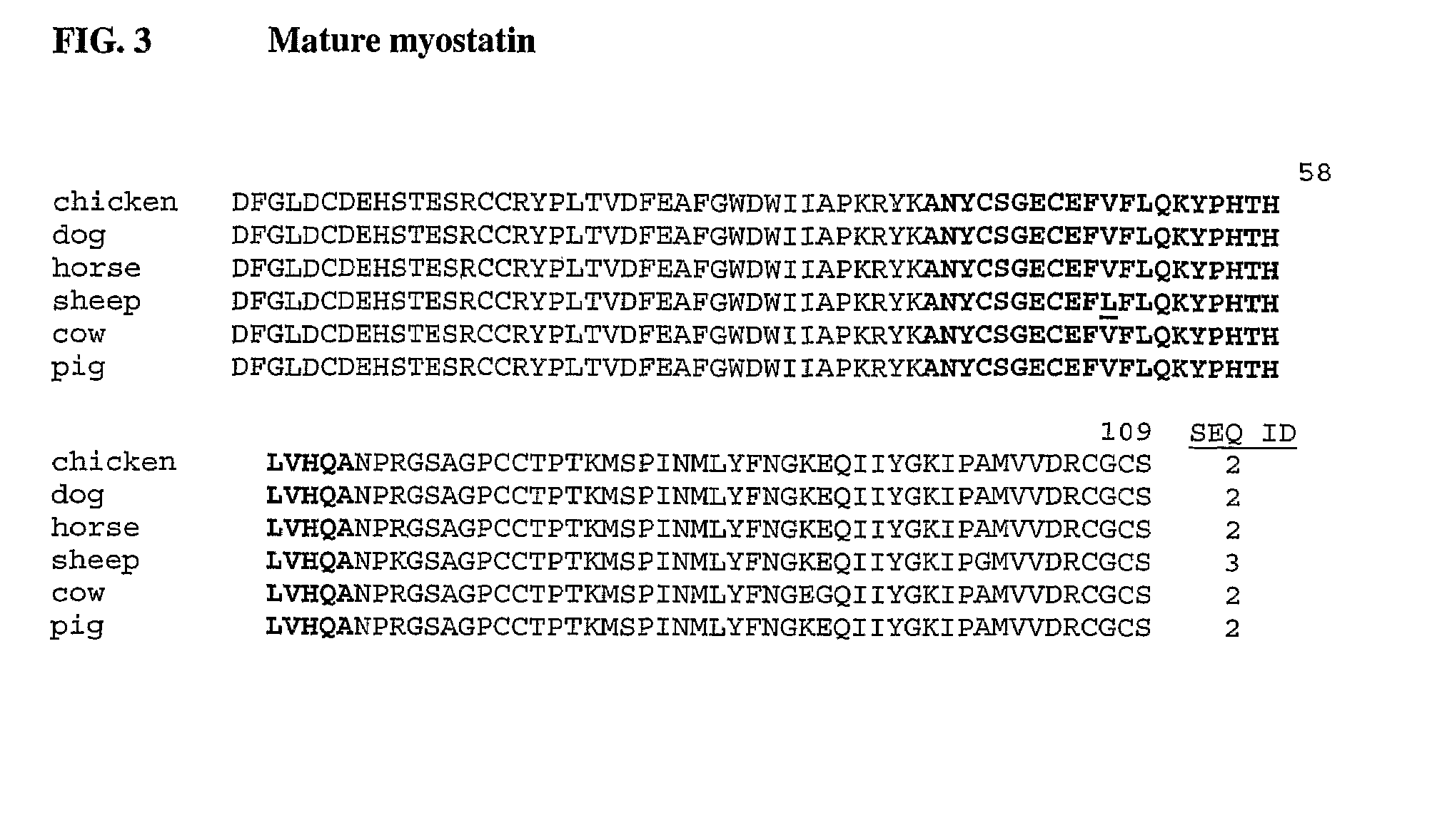 Anti-myostatin antibodies