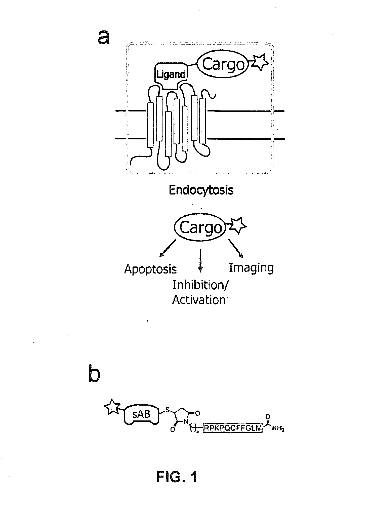 NK-1 Receptor Mediated Delivery of Agents to Cells