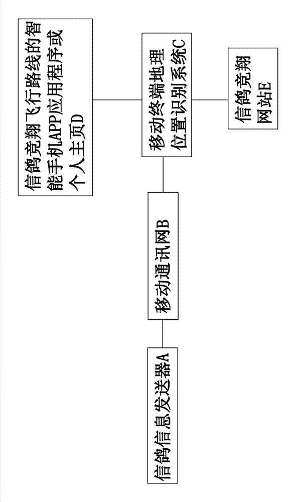 Information positioning system for flight line of carrier pigeon during competition flight