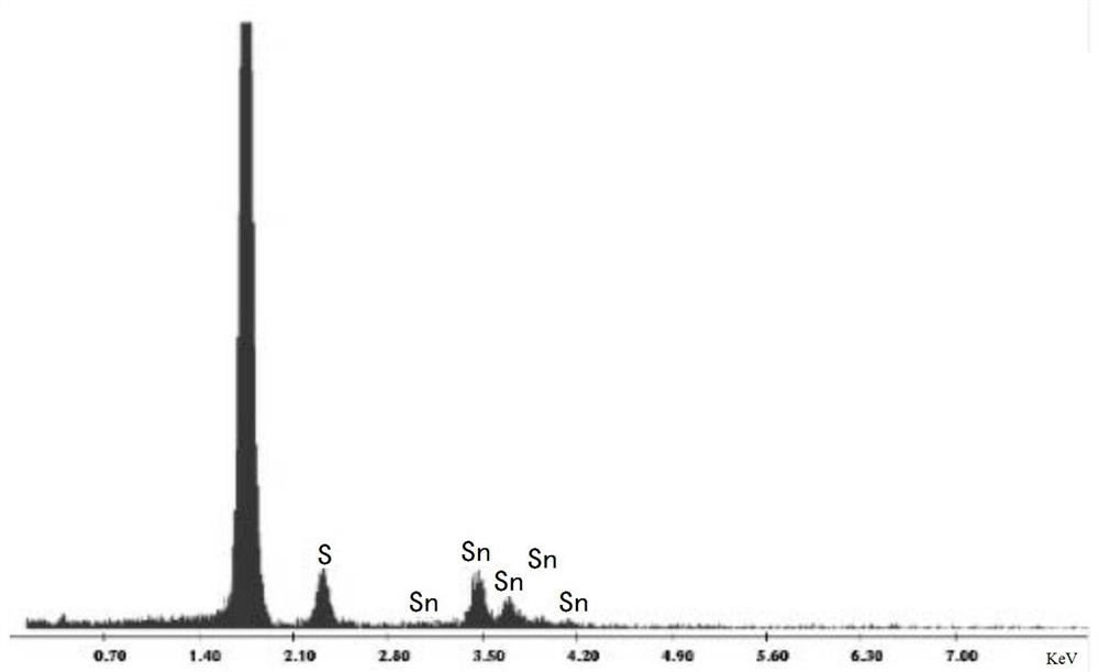 A kind of method of low temperature liquid phase synthesis stannous sulfide