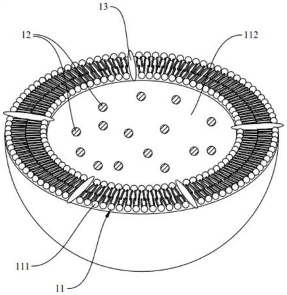 A kind of liposome composition