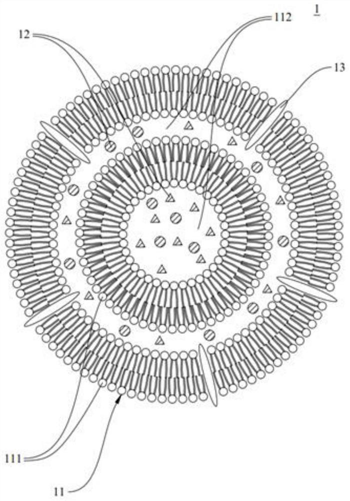 A kind of liposome composition