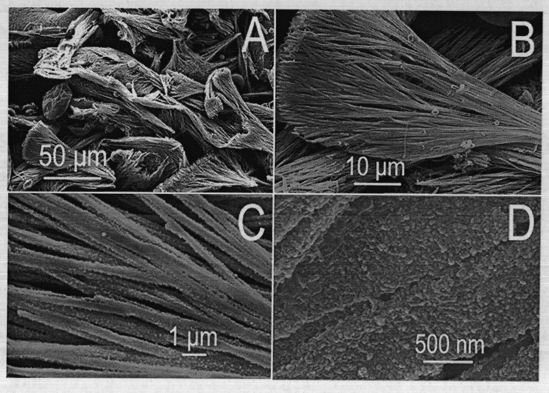 A kind of polyaniline nanoribbon compound and preparation method thereof