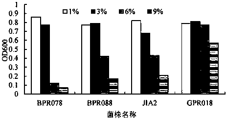 A rhizosphere-promoting Bacillus adenii and its application