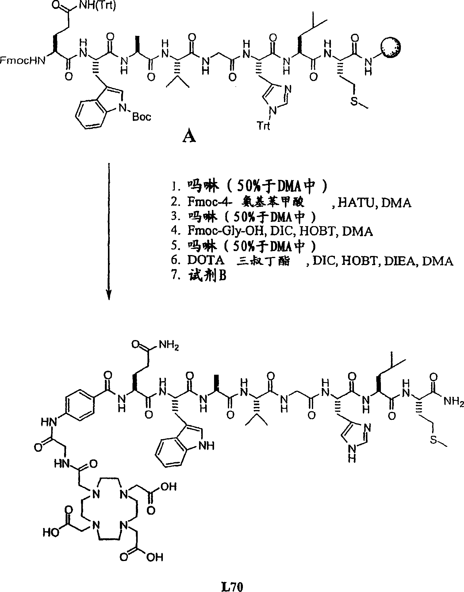 Improved gastrin releasing peptide compounds