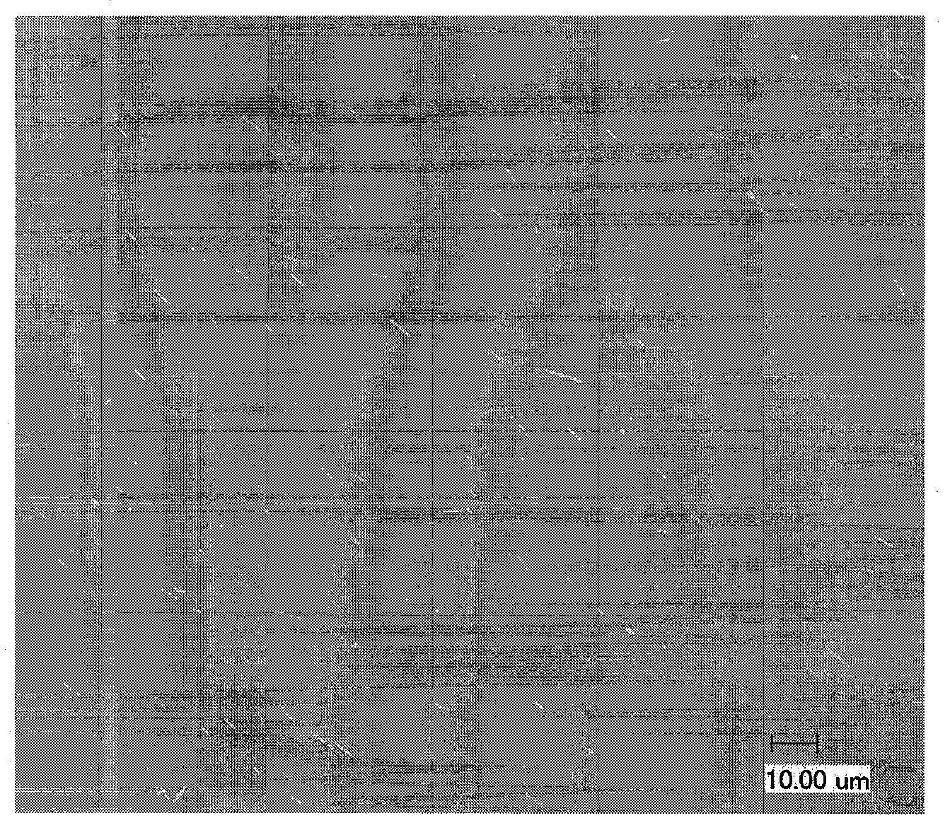 Method for preparing thin polymer film with polarization performance on glass surface