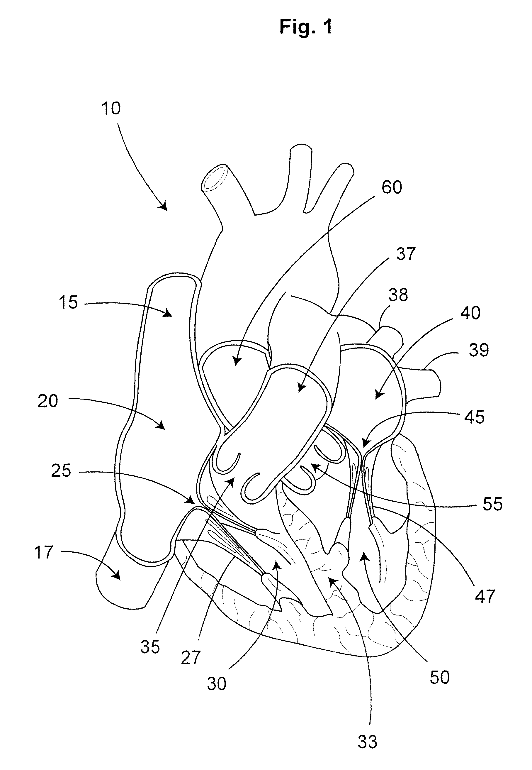 Monitoring physiological condition and detecting abnormalities