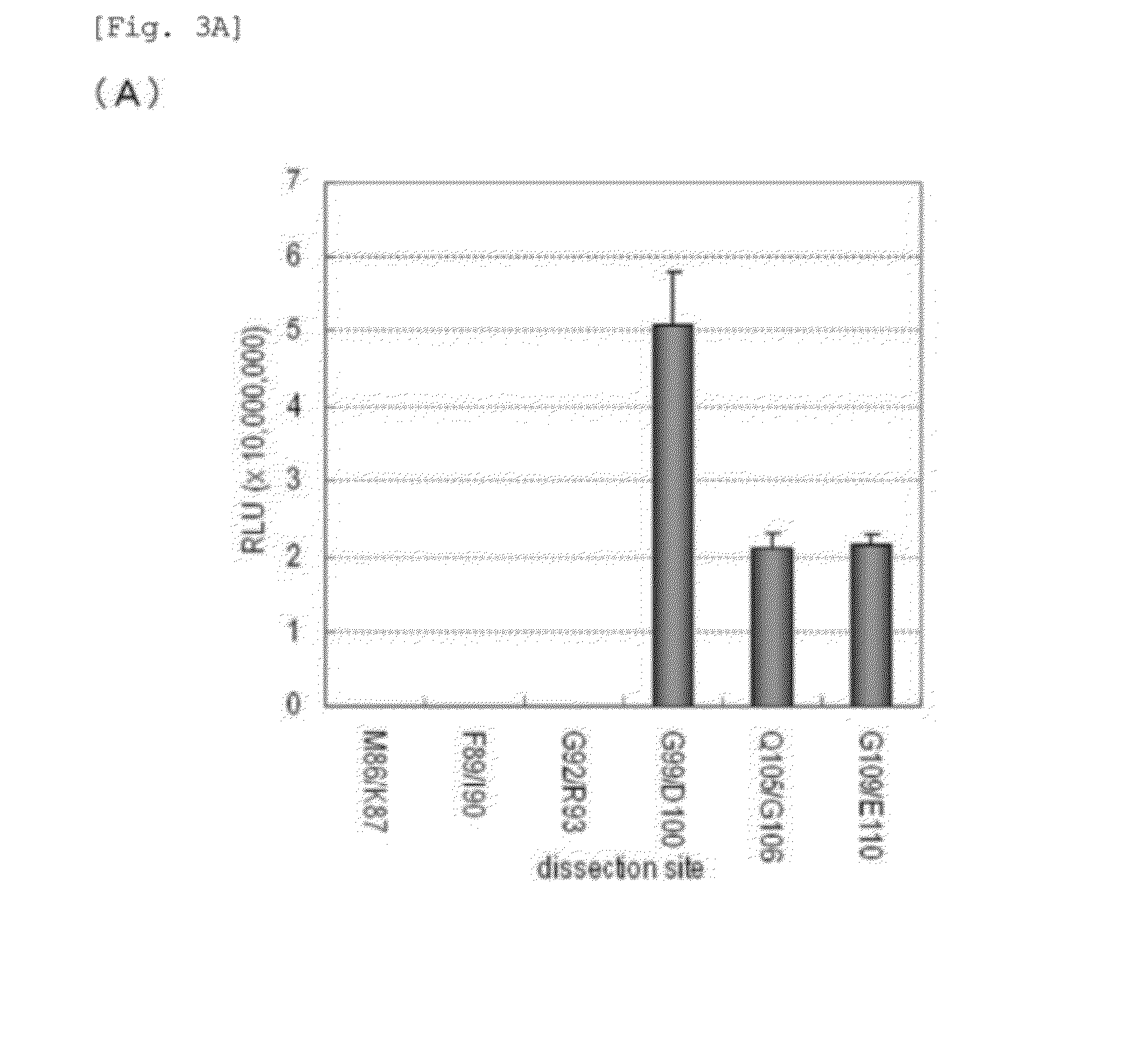 Superluminescent luciferase variant with prolonged bioluminescence