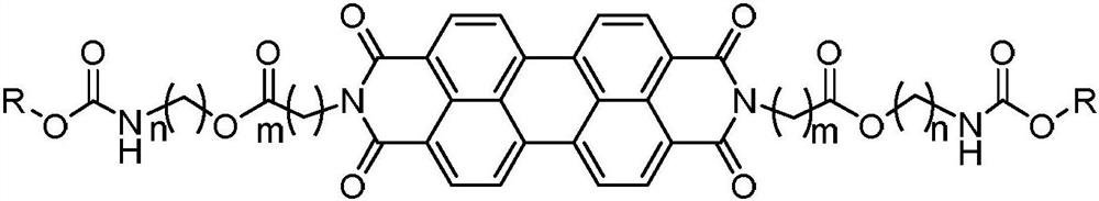 Steroid-perylene diimide compound, preparation method thereof, and preparation and application of fluorescent film of steroid-perylene diimide compound