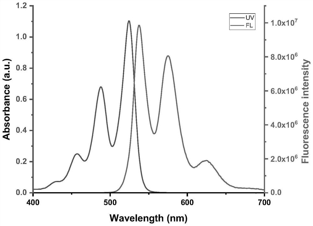 Steroid-perylene diimide compound, preparation method thereof, and preparation and application of fluorescent film of steroid-perylene diimide compound