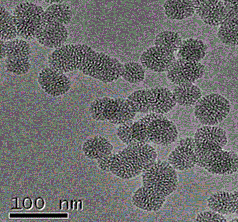 Dual-targeting ursolic acid (UA)/siRNA loaded fluorescent mesoporous silica dioxide-hyaluronic acid and application