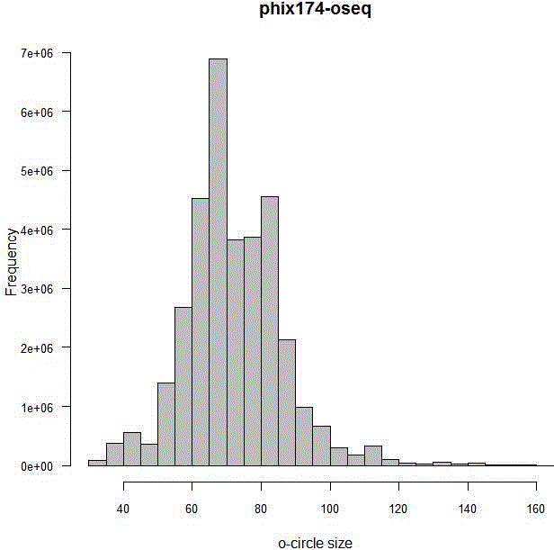 Sequencing library, preparation and application thereof