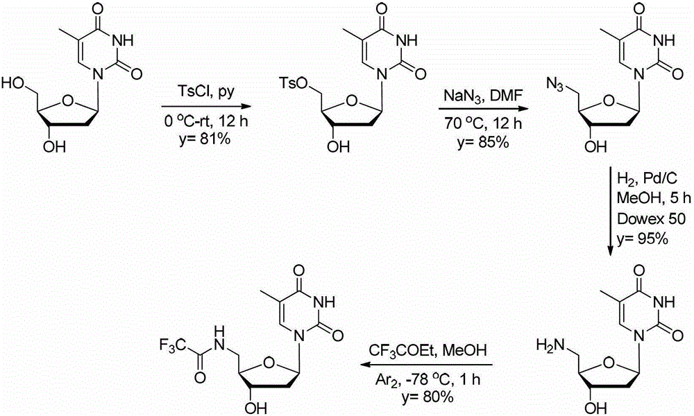 5'-amino-2', 5'-dideoxynucleotide phospholipid molecule and its preparation method and application