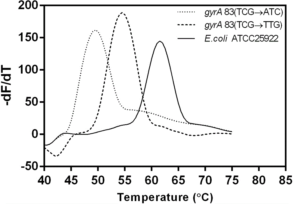 Method for detecting escherichia coli fluoroquinolone-resisting gyrA/parC gene point mutation