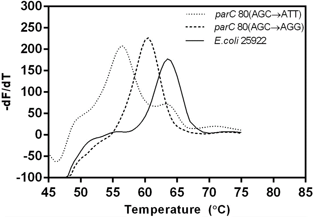 Method for detecting escherichia coli fluoroquinolone-resisting gyrA/parC gene point mutation