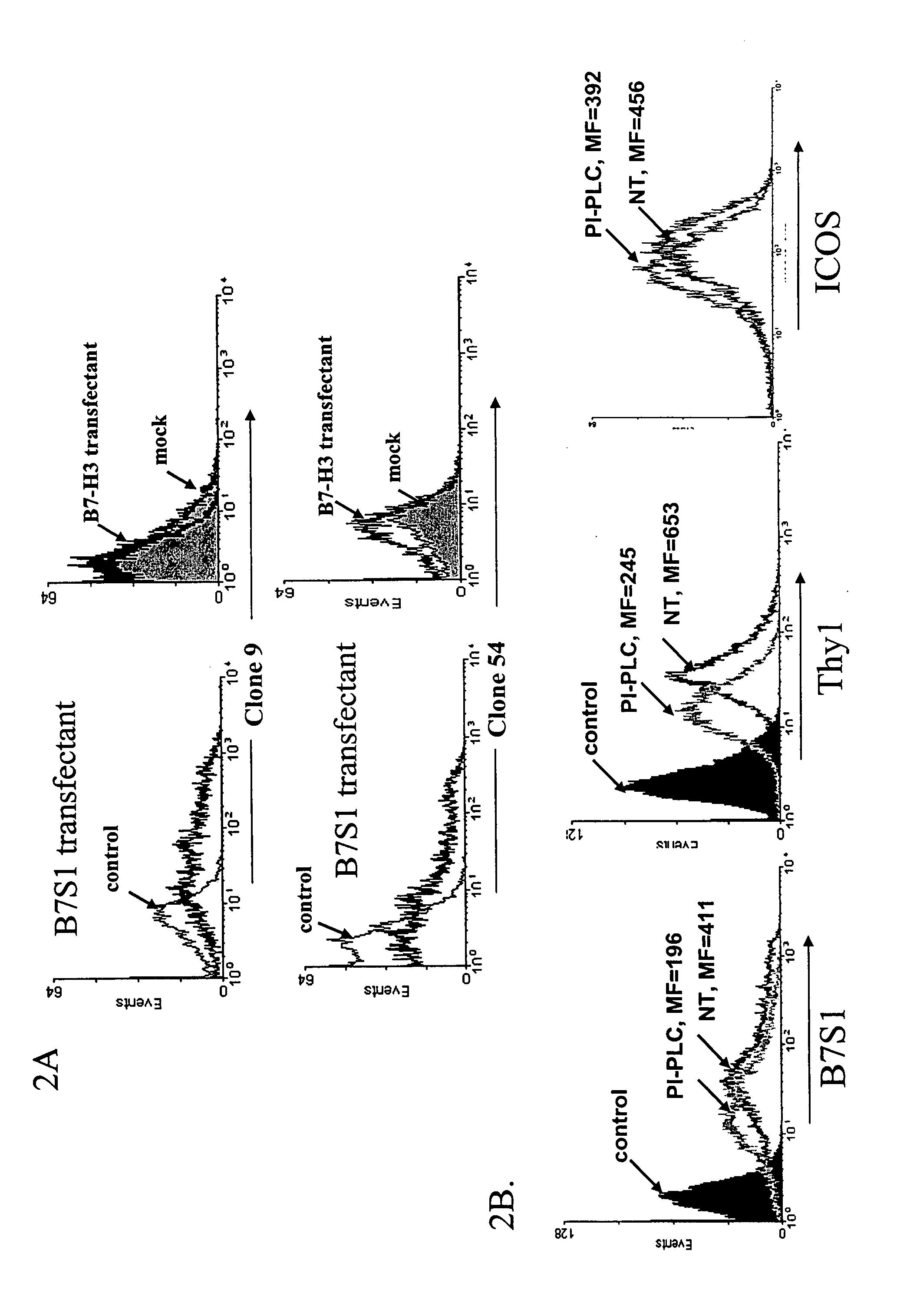 B7S1: an immune modulator