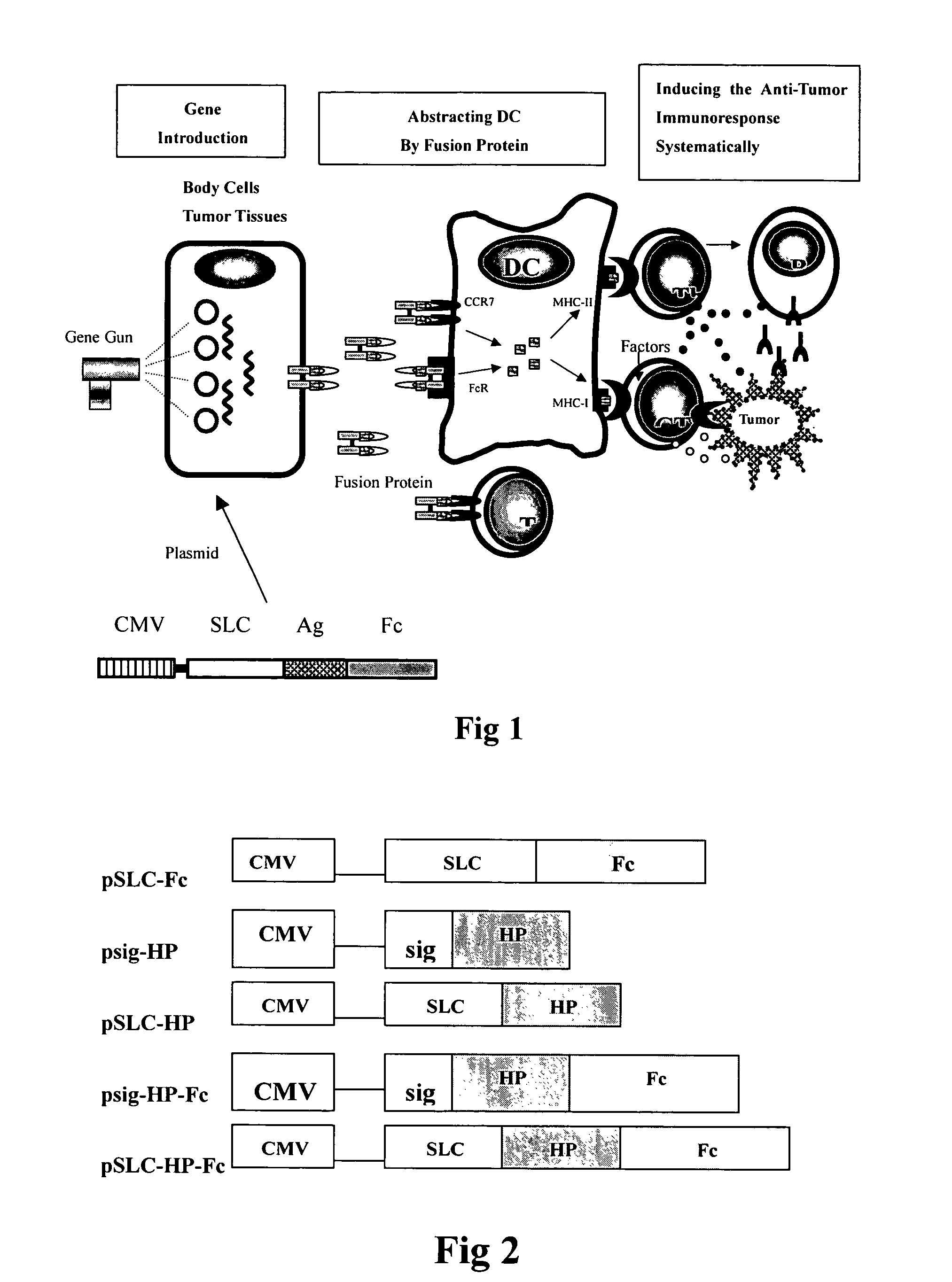 Recombinant chemokine-antigen vaccine