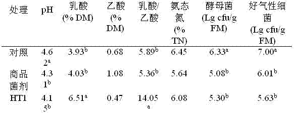 High temperature resistant lactic acid strain ht1 and its application in preparing silage