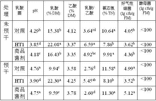 High temperature resistant lactic acid strain ht1 and its application in preparing silage