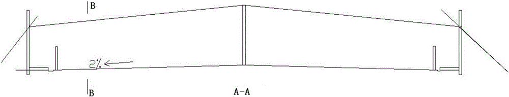 Rana chensinensis and breeding method thereof