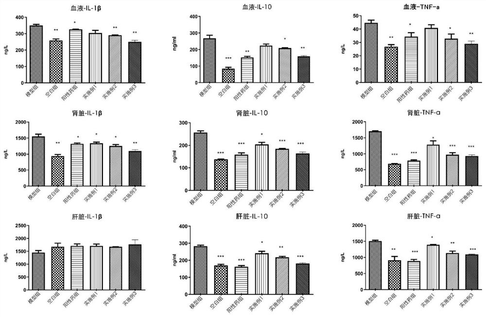 Anti-gout composition as well as preparation method and application thereof