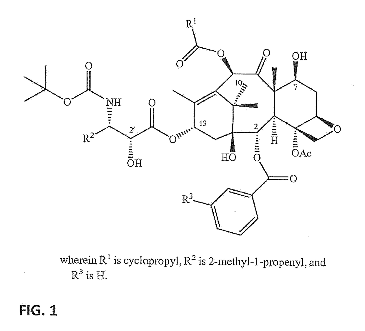 Nanoemulsion compositions of taxoid drugs, and methods for the use thereof to target cancer cells and cancer stem cells