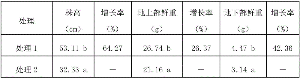 Bacillus amyloliquefaciens with inorganic phosphorus degrading and bacteria restraining effects and bacterial agent thereof