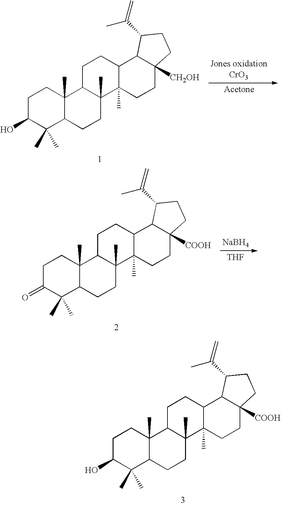 Betulin derived compounds useful as antiprotozoal agents